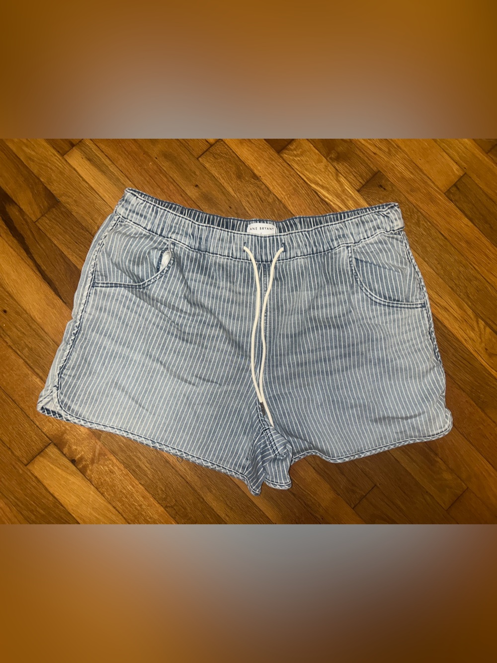 Lane Bryant Light Blue Pinstripe Drawstring Shorts